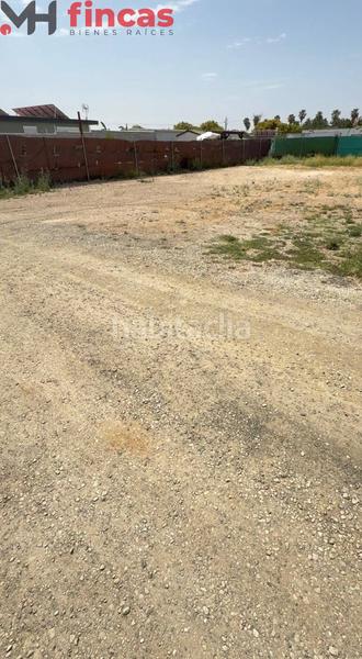 Foto 2383750f-3678-4f94-9731-112db4a42868. Fondo rustico in tauro 8 in Oromana Alcalá de Guadaira