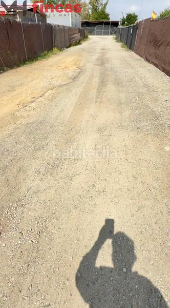 Foto 50c00835-8a8f-4319-9584-71955ed580b7. Fondo rustico in tauro 8 in Oromana Alcalá de Guadaira