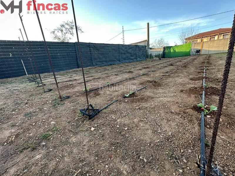Foto 52dd5f0a-3e0a-4727-96d5-69fa54cc7840. Finca rústica a tauro 8 a Oromana Alcalá de Guadaira