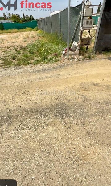 Foto a653d6f6-983e-4723-8b76-a2ffbc22f86c. Finca rústica a tauro 8 a Oromana Alcalá de Guadaira