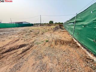 Finca rústica a La algaba 1. Parcela rústica con agua y luz a 5 min de torre la reyna la alga