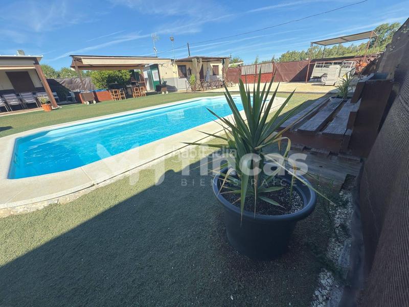 Foto 760bce3f-87e9-435d-997d-6ccdbf48e8c7. Masía tu oasis privado por menos de lo que imaginas piscina, jacuzzi y casa de invitados incluidos! en Arahal