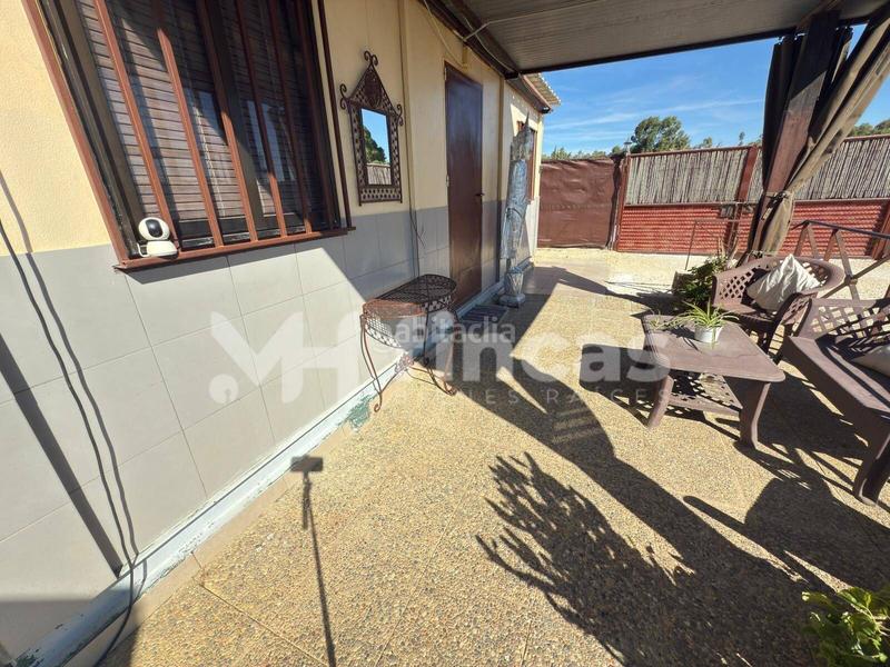 Foto 97f8c1c6-8568-4206-807d-093b5f683d0d. Masía tu oasis privado por menos de lo que imaginas piscina, jacuzzi y casa de invitados incluidos! en Arahal