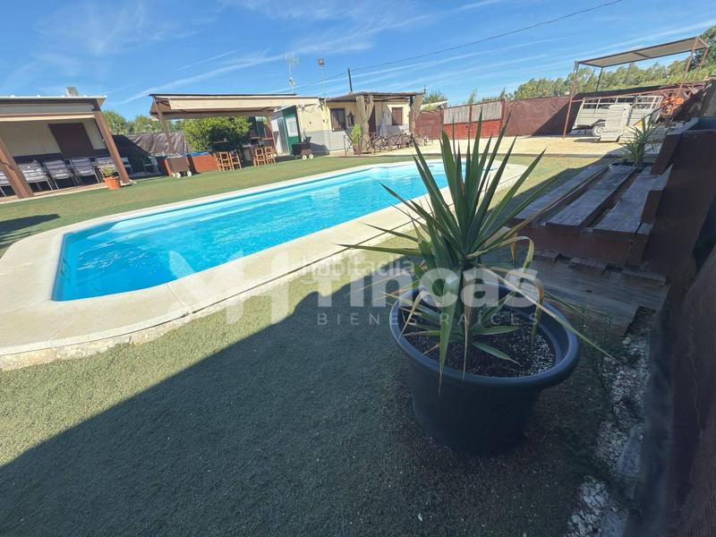 Foto ecee15c4-c71b-4f7b-977b-fe14d39d3a91. Masía tu oasis privado por menos de lo que imaginas piscina, jacuzzi y casa de invitados incluidos! en Arahal