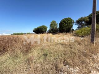 Terreno residencial en Los palacios y villafranca 25. Parcela en los palacios sevilla  1.956 m mitad indivisa urbaniza