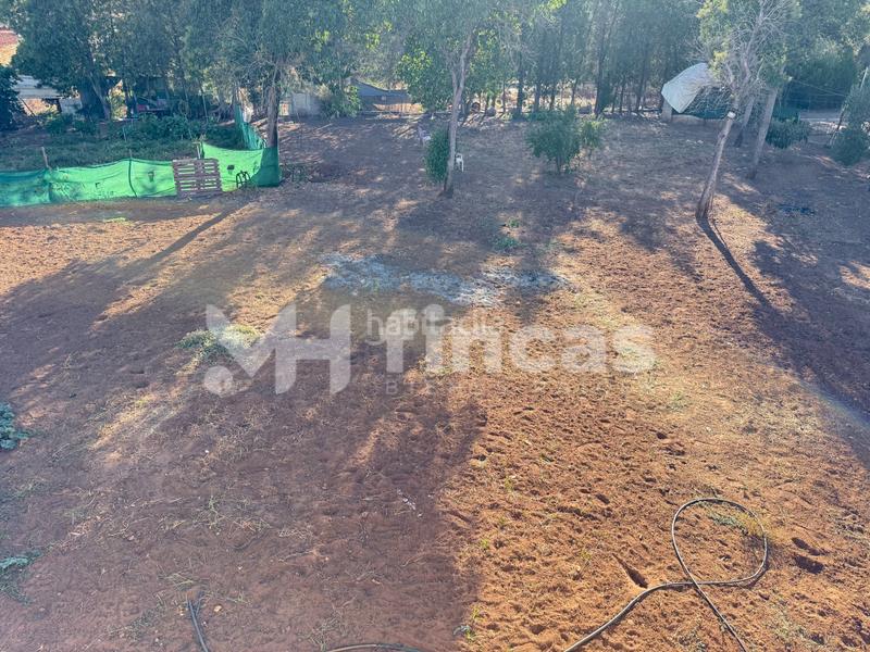 Foto 109ed23c-b9c2-4618-b971-2fedef32ec0f. Casale in calle osa mayor 40 in Oromana Alcalá de Guadaira