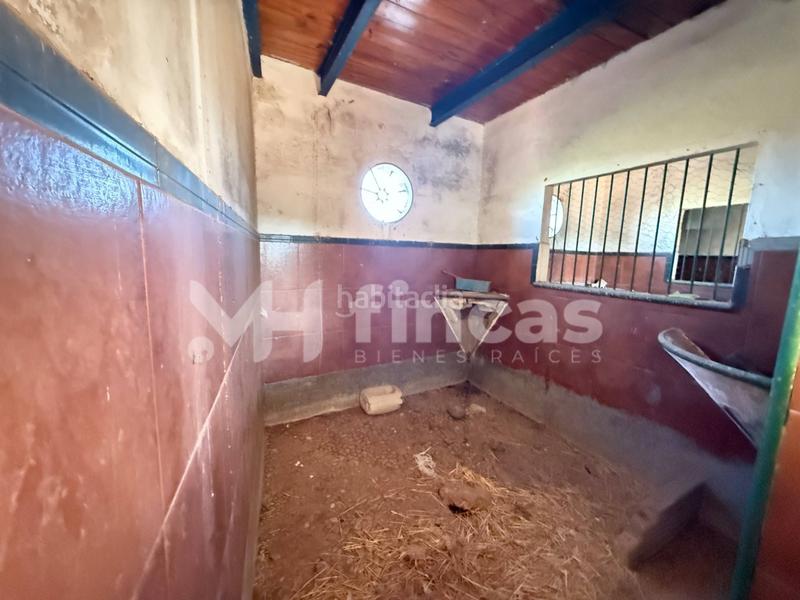 Foto 1483170e-e0b9-4033-a88c-f3e56eba3792. Casale in calle osa mayor 40 in Oromana Alcalá de Guadaira