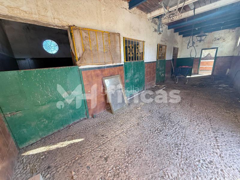 Foto b09f9c53-41dd-48eb-80b3-b30fc5598ee9. Casale in calle osa mayor 40 in Oromana Alcalá de Guadaira