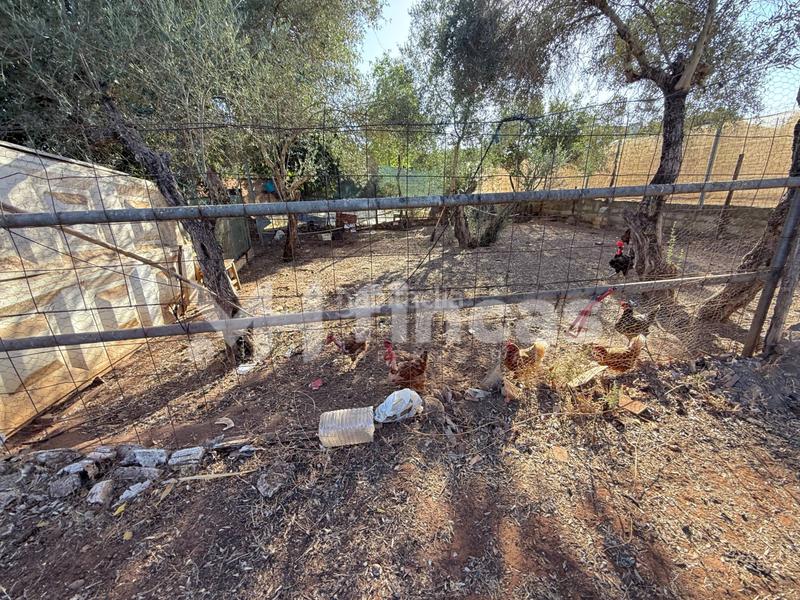 Foto b8a240f2-4c6f-4f44-a556-e30e932b17f8. Casale in calle osa mayor 40 in Oromana Alcalá de Guadaira