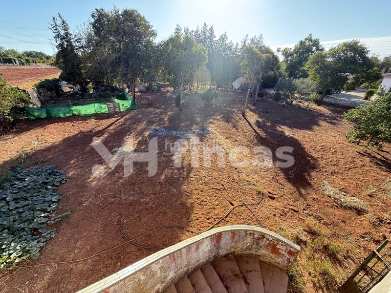 Foto bba4ce7a-3a69-431f-ac0e-926d0fd039b3. Casale in calle osa mayor 40 in Oromana Alcalá de Guadaira