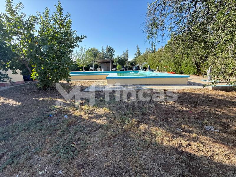 Foto bbf5c977-d2af-4404-bfc8-6b9503c0c4b7. Casale in calle osa mayor 40 in Oromana Alcalá de Guadaira