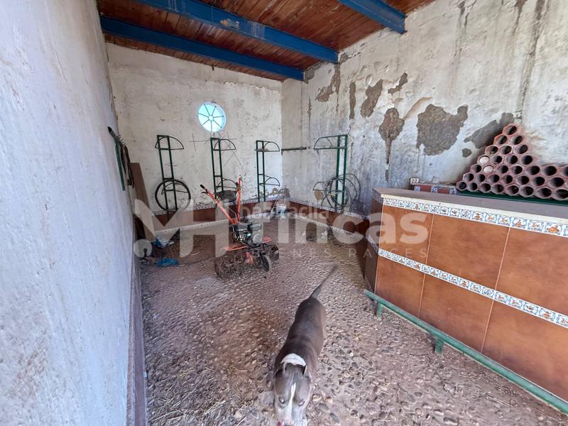 Foto e13b987f-b1d3-444f-a3d9-d7792d763848. Casale in calle osa mayor 40 in Oromana Alcalá de Guadaira