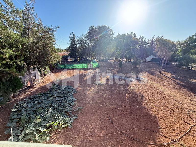 Foto f8a94852-4dd7-48a9-b2a8-088b1f66348c. Casale in calle osa mayor 40 in Oromana Alcalá de Guadaira