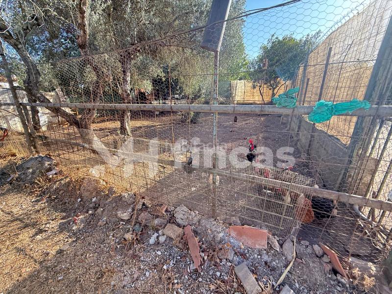 Foto fee40058-4960-4a07-8a40-115316c49cad. Casale in calle osa mayor 40 in Oromana Alcalá de Guadaira