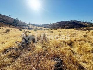 Finca rústica  Camino almonaster la real. Finca charneca  30 hectáreas con manantial, vallado y caza en el
