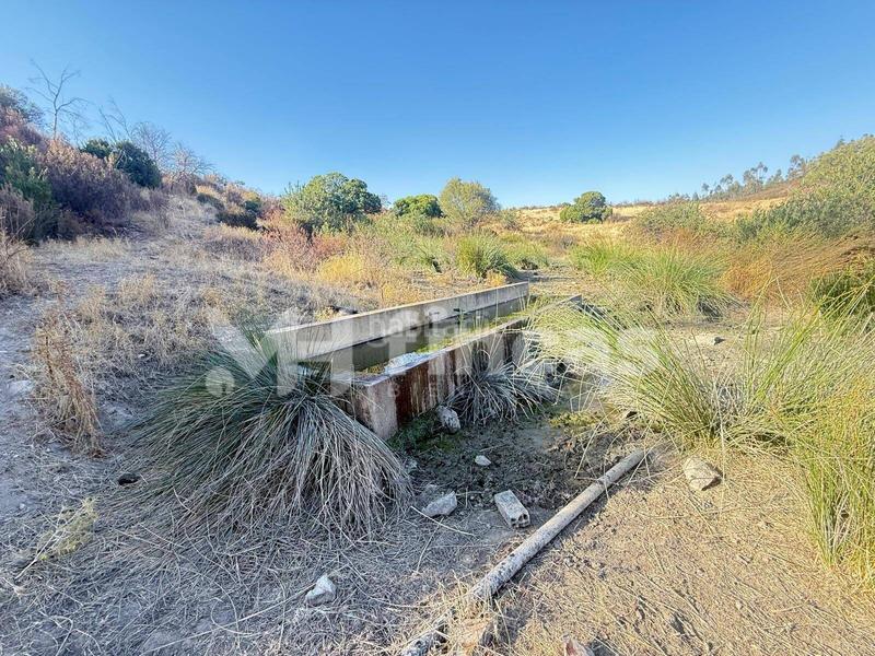 Foto 4e035394-6965-4331-8f7f-102895eda69b. Finca rústica a Almonaster la Real