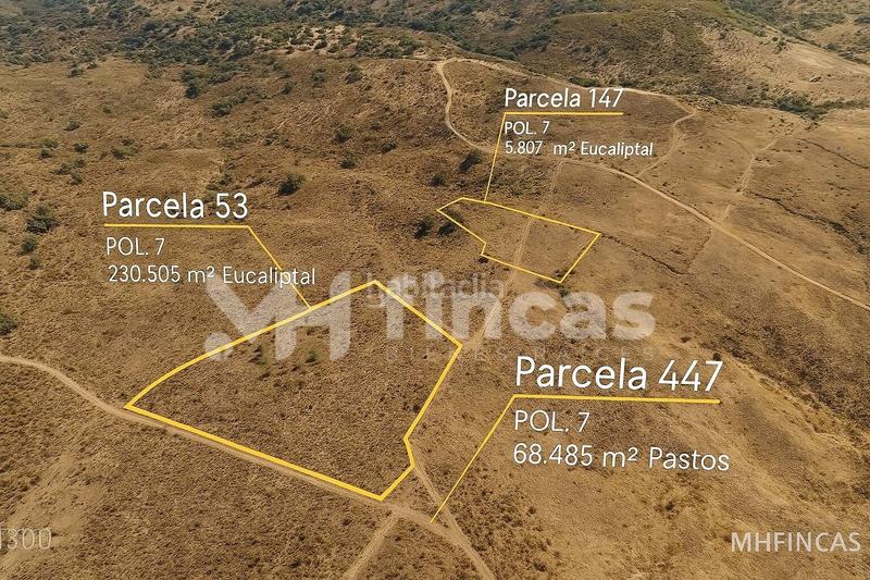 Foto 5b047829-5102-4701-9cc3-655d657a7c8a. Finca rústica a Almonaster la Real