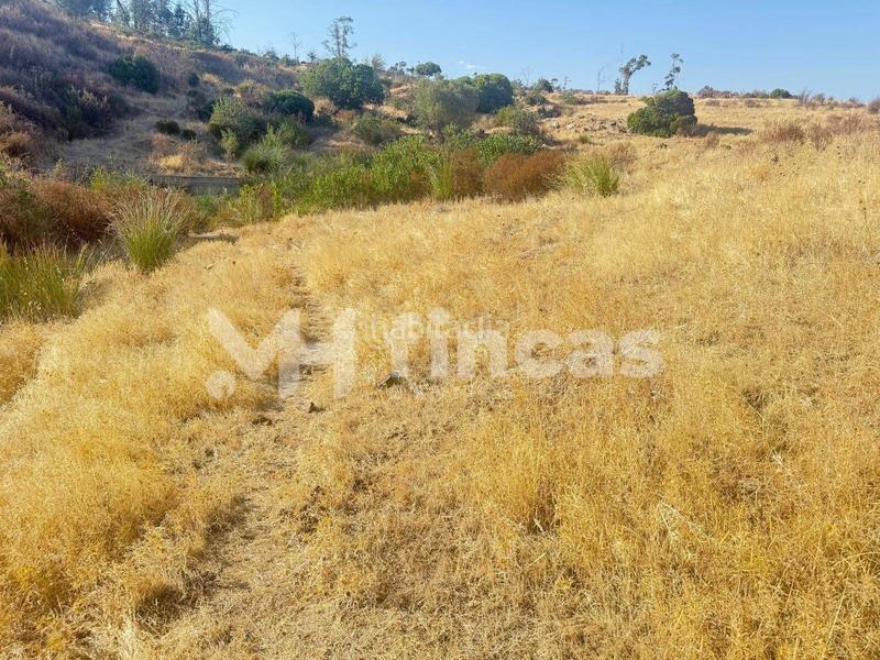 Foto 66902d61-9681-4a38-8de6-438ad281239a. Finca rústica a Almonaster la Real