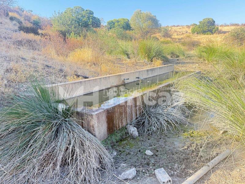 Foto 66a1535e-34db-45f4-ab17-415dd7e9bac3. Finca rústica a Almonaster la Real