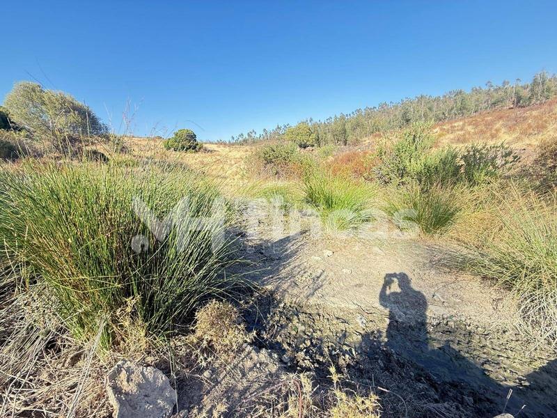 Foto 93b68731-57c9-489d-a9fc-5d4c5bbbccd6. Finca rústica a Almonaster la Real