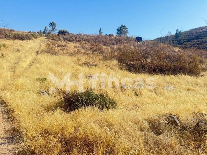 Foto b645f256-aa84-4c8e-ac74-d1e7f9ebe0f1. Finca rústica a Almonaster la Real