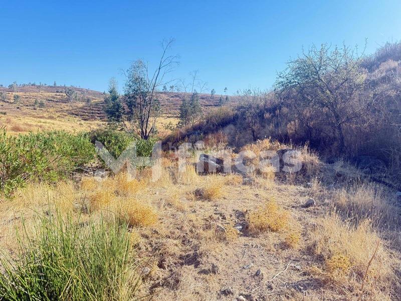 Foto dbc3f0dd-b2ae-423b-a97b-0937cd4bc343. Finca rústica a Almonaster la Real