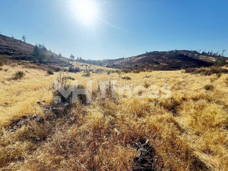 Foto dfaccb1f-db47-497e-accc-12792e2b6820. Finca rústica a Almonaster la Real