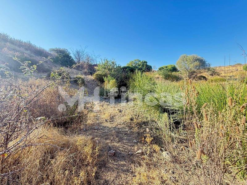 Foto e9329d82-b098-4370-9f6b-1d56dec70425. Finca rústica a Almonaster la Real