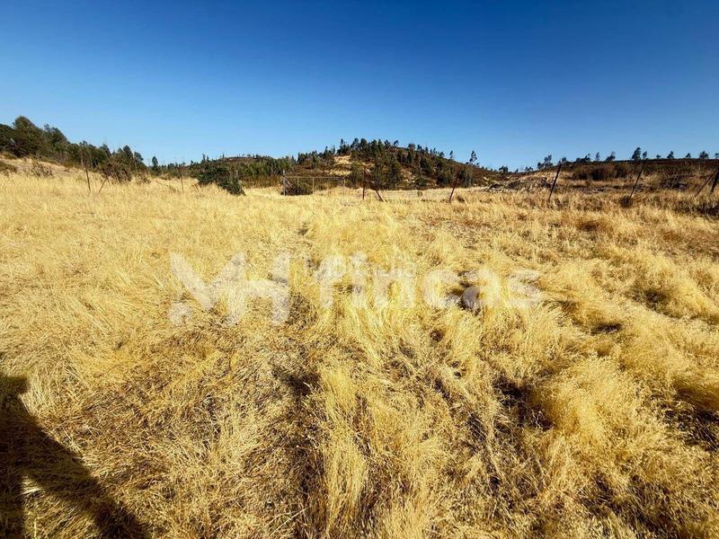 Foto ec807466-715a-46d2-b745-940e59194b27. Finca rústica a Almonaster la Real