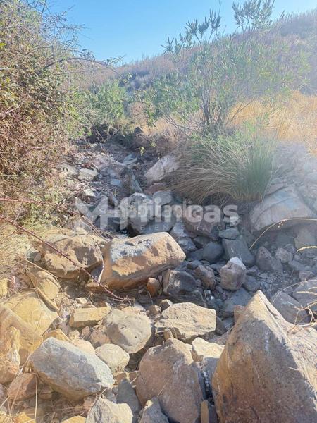 Foto febd117c-84be-4e7c-9d41-a0f84a2ac835. Finca rústica a Almonaster la Real