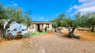 Casa  Camino disseminats 0. Tu refugio entre olivos y montañas una joya natural en tortosa 3