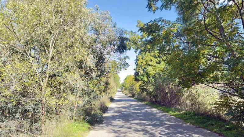 Foto 1c08f6b6-643e-4d1a-94c4-3dda4cdeec49. Finca rústica a polígono 44 paraje 235 pasada la guaperosa 55 a Almonte