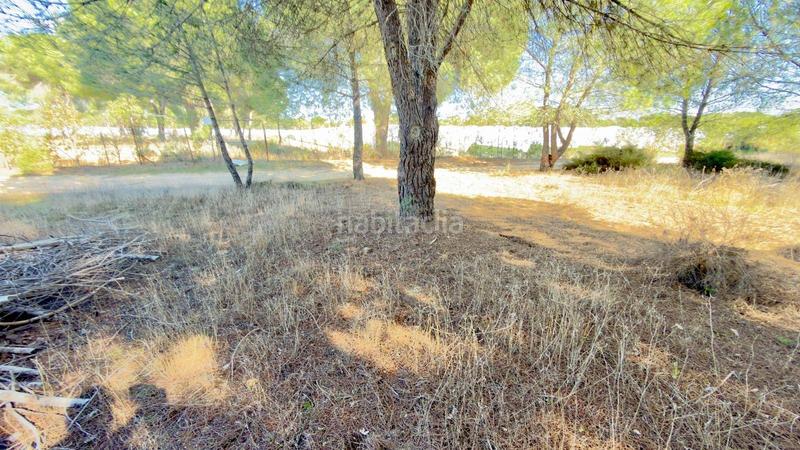 Foto 21287c58-ca8c-4b8d-aa2c-461f4924f66b. Finca rústica a polígono 44 paraje 235 pasada la guaperosa 55 a Almonte