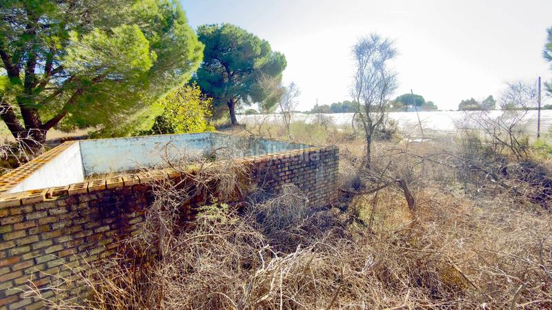 Foto 2ed9aacd-52a6-42cb-b2a5-c5cf9389f18c. Finca rústica a polígono 44 paraje 235 pasada la guaperosa 55 a Almonte