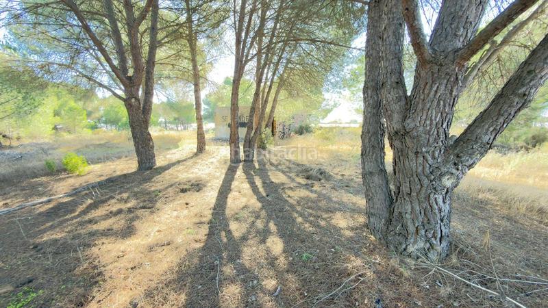 Foto 42ef51af-3408-4c82-a557-b06980341017. Finca rústica a polígono 44 paraje 235 pasada la guaperosa 55 a Almonte