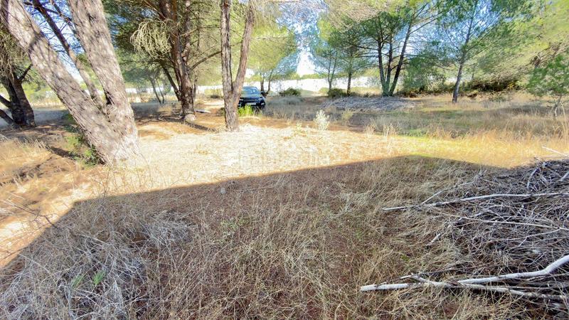 Foto 445eb402-29c4-477f-8aa1-13047e5596e6. Finca rústica a polígono 44 paraje 235 pasada la guaperosa 55 a Almonte