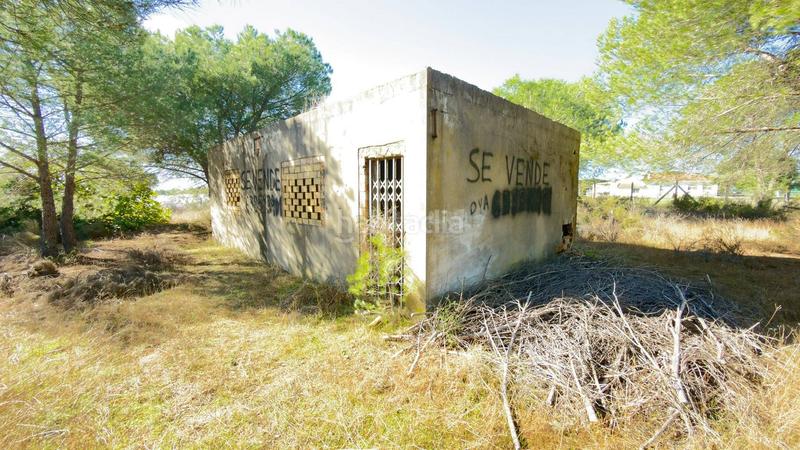 Foto 4c011050-35fa-4d92-b84e-7521e9bb0b40. Finca rústica a polígono 44 paraje 235 pasada la guaperosa 55 a Almonte