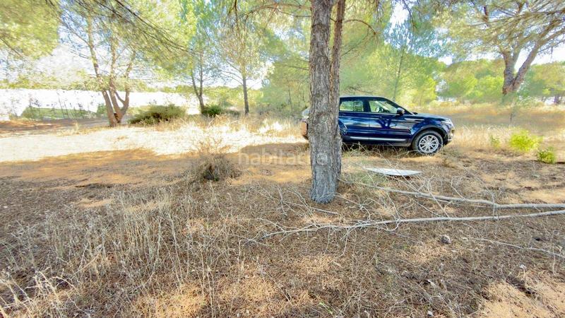 Foto 731ce402-fb2e-41f5-a114-23f0e12fcb29. Finca rústica a polígono 44 paraje 235 pasada la guaperosa 55 a Almonte