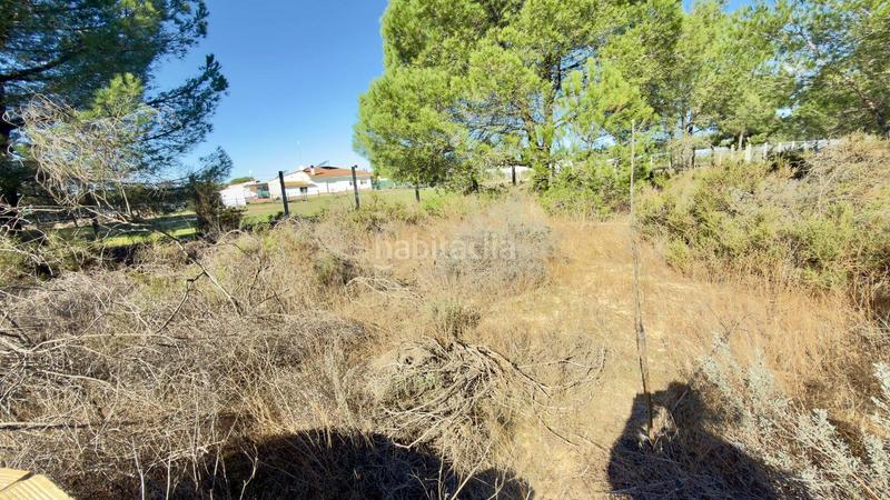 Foto 7e0cae84-0868-44d7-91c8-c4a1e979330a. Finca rústica a polígono 44 paraje 235 pasada la guaperosa 55 a Almonte