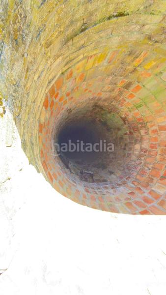 Foto 90ba2b79-2c19-4f81-aaee-90c40b7dd6b8. Finca rústica a polígono 44 paraje 235 pasada la guaperosa 55 a Almonte