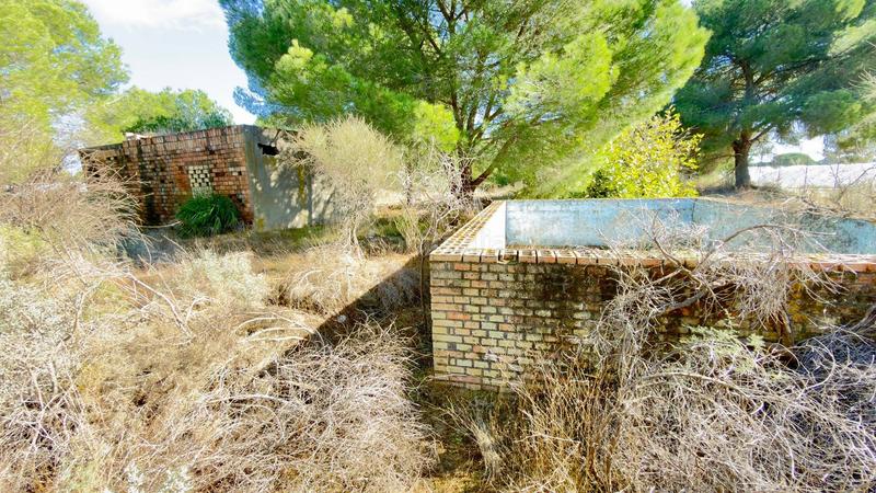 Foto 96cc45de-75ca-45f3-a24c-8f7078c2440a. Finca rústica a polígono 44 paraje 235 pasada la guaperosa 55 a Almonte