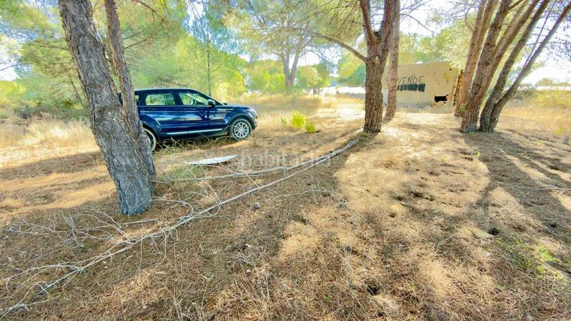 Foto 9a1cc6a6-13a1-4991-a452-6f9a06da49f7. Finca rústica a polígono 44 paraje 235 pasada la guaperosa 55 a Almonte