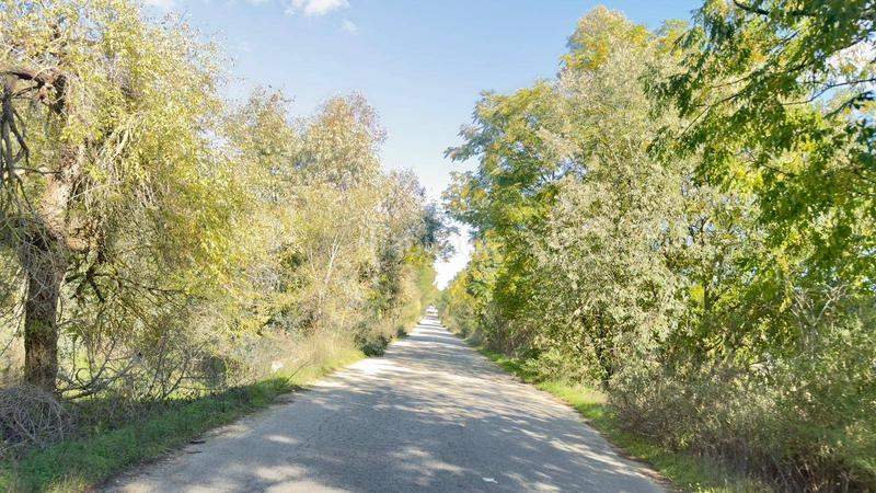 Foto a151996d-1d9c-493c-a0e4-b6870df3e119. Finca rústica a polígono 44 paraje 235 pasada la guaperosa 55 a Almonte