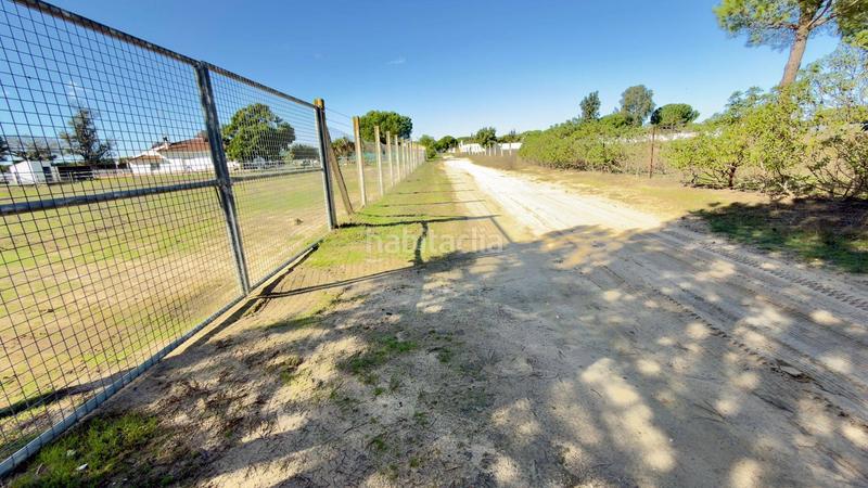 Foto b60b9016-ae66-45f1-a218-5a94ab95d9d0. Finca rústica a polígono 44 paraje 235 pasada la guaperosa 55 a Almonte