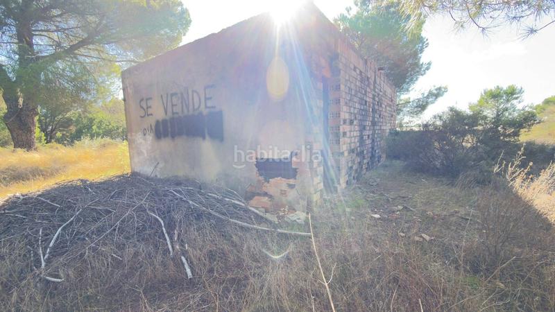 Foto b7c1c1e7-d65b-4304-912d-4907e592e250. Finca rústica a polígono 44 paraje 235 pasada la guaperosa 55 a Almonte