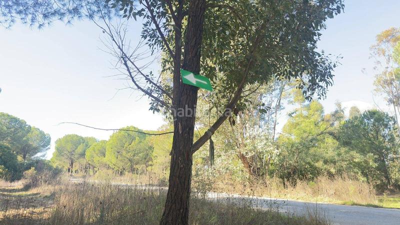 Foto c0e8ce72-abc7-47c3-a376-e3a600904c38. Finca rústica a polígono 44 paraje 235 pasada la guaperosa 55 a Almonte