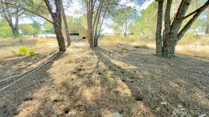 Foto cb10357f-bf70-45ad-ac36-69f79532e7bf. Finca rústica a polígono 44 paraje 235 pasada la guaperosa 55 a Almonte