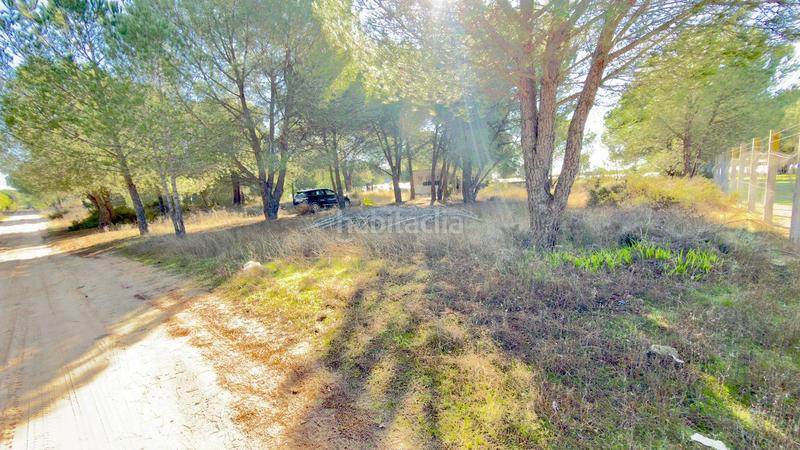 Foto fadb0dfc-0221-4eb7-825f-c7b644803597. Finca rústica a polígono 44 paraje 235 pasada la guaperosa 55 a Almonte