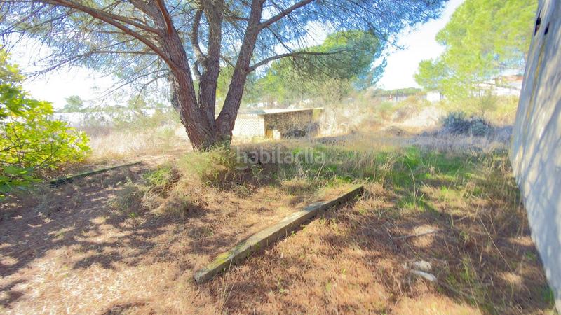 Foto fc94b391-26e0-4631-99af-b052f9fc17c7. Finca rústica a polígono 44 paraje 235 pasada la guaperosa 55 a Almonte