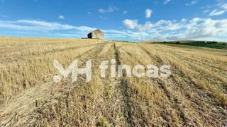 Landgut in Pedanías Sur. Fincas agrícolas en el palmar de troya y utrera  tierra calma de